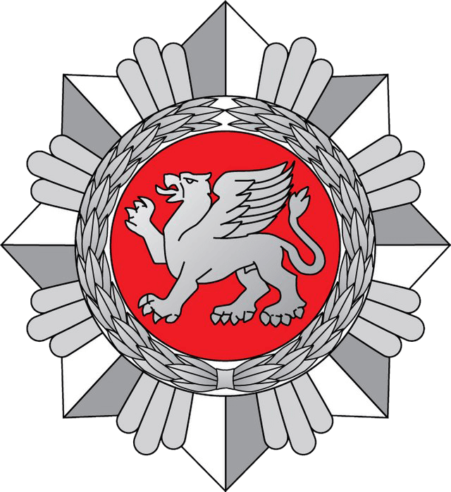Financial Crime Investigation Service (FNTT) logo image